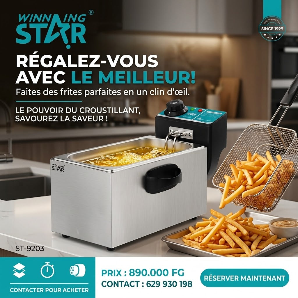 Friteuse Électrique en Acier Inoxydable 4L – WINNING STAR (ST-9203)